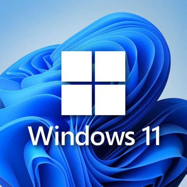 Windows 11 Pro Digital License